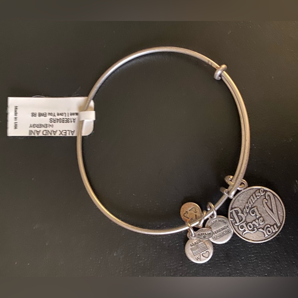 Alex and Ani “Because I Love You” Charm Bracelet Silver